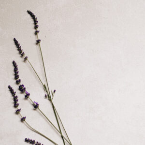 Lavanda símbolo de calma bienestar y conexión interior en Soul Yoga Ibiza