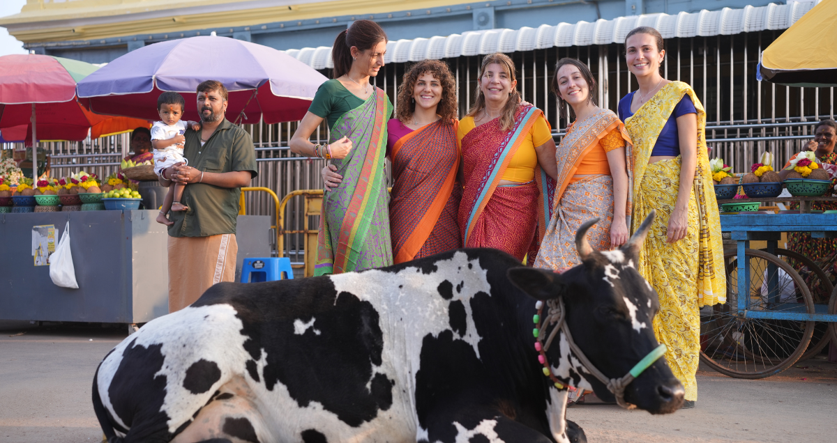 Grupo de mujeres con saris tradicionales junto a una vaca en las colinas Chamundi