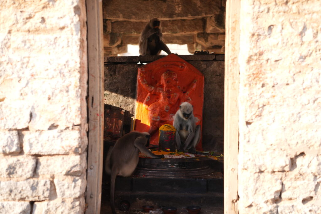 Ídolo sagrado de Hanuman con monos dentro del Templo de Hanuman en Hampi